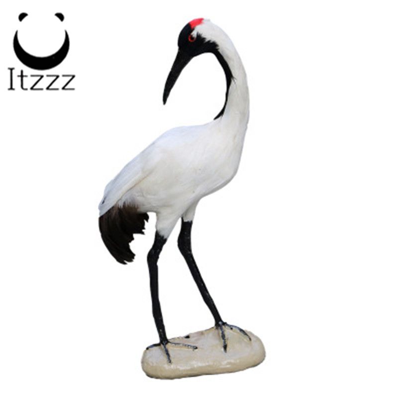 Other craftOtherSimulation red-crowned crane feather pure handicraft ornaments jewelry children early education film propsHEZE HENGFANG LEATHER & FUR CRAFT CO., LTD